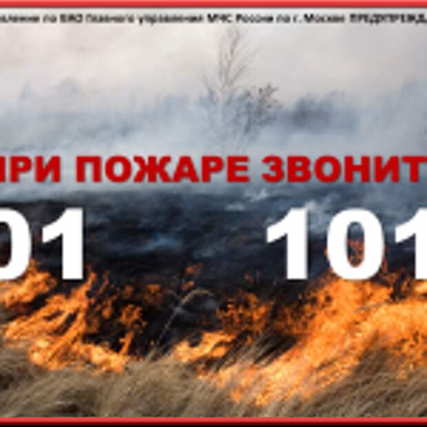 МЧС по ВАО напомнило об опасности сожжения сухой травы. Фото: Пресс-служба МЧС по ВАО