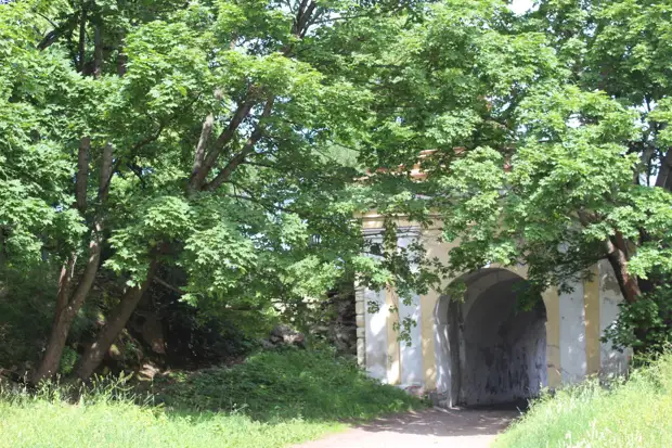"Тянутся сосны в прозрачное небо, глыбы гранита заснули давно..." Парк Монрепо в Выборге