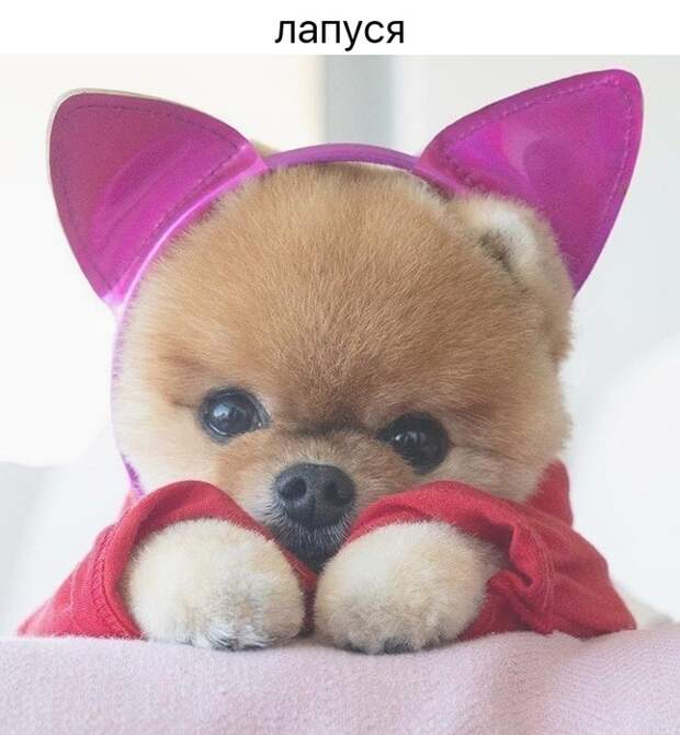 4sf9fs4keGM (646x700, 250Kb)