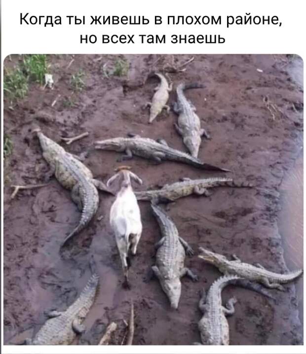 Здарова, пацаны