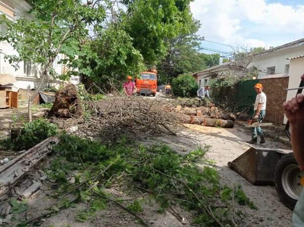 В Симферополе убирают поломанные стихией деревья