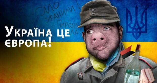 Нынешняя Украина переняла «чужой» сценарий поведения и превратилась в просящего иждивенца из страны, которая...
