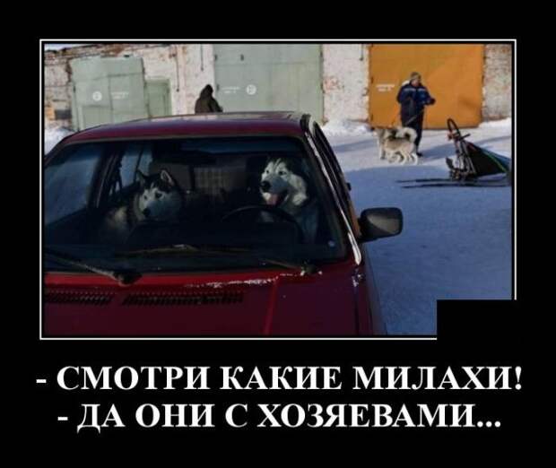 demotivatory-demotivator-smeshnye-demotivatory-demotivator-so-smyslom