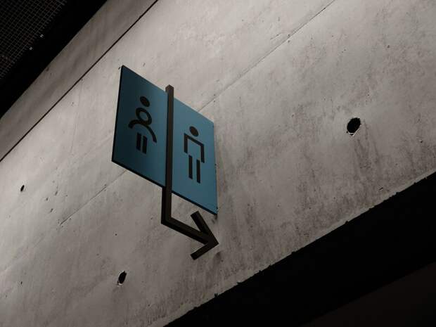 Экскурсионные туры по общественным туалетам в Токио набирают популярность среди туристов