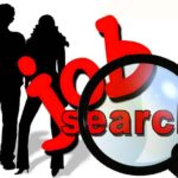 job search