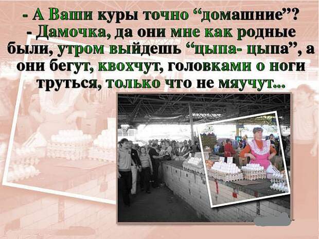 Так говорят в Одессе  одесса, юмор