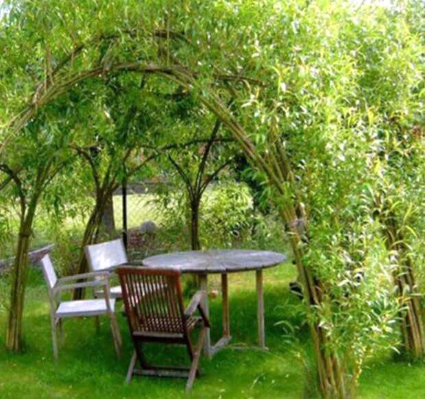 Дачные идеи: композиции из лозы