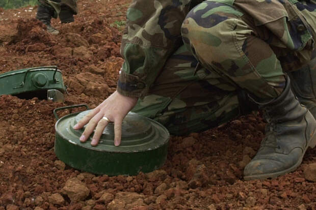 РИА Новости: ВСУ маскируют самодельные мины под растительность