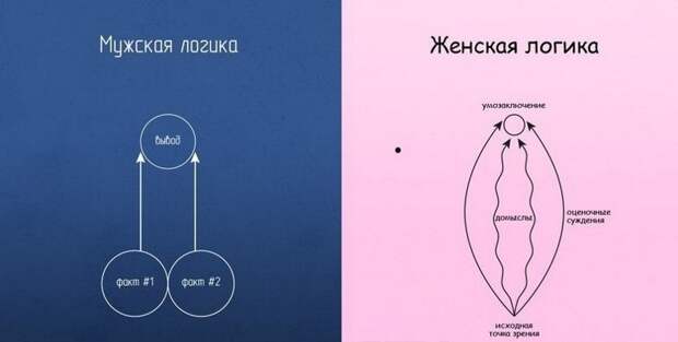 Теперь все ясно! женская логика, женщины, логика, прикол, юмор