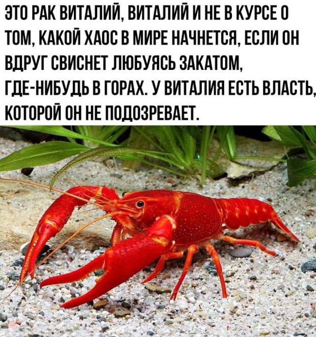 Подборка картинок. Вечерний выпуск (50 фото)