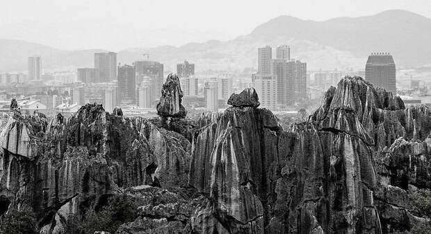 Кэрол Париа из Франции рассказала об этом кадре: "Этот каменистый массив, расположенный на юге Китая, состоит из множества вершин, которые образовались в процессе эрозии из-за дождя и ветра." Sony World Photography Awards, животные, конкурс, люди, природа, путешествие, фотомир