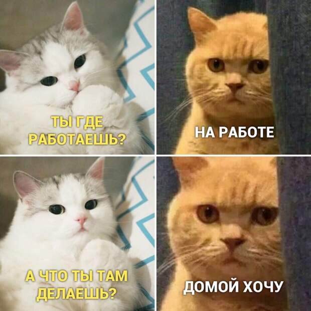 Работа