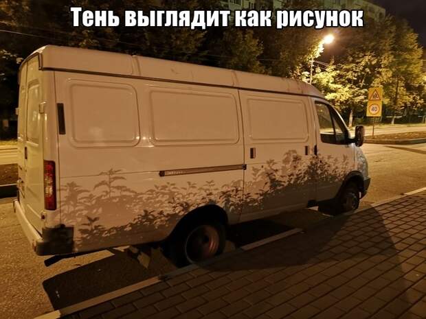 Подборка прикольных картинок