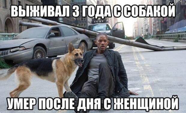 Вот, до чего доводят женщины! 11 наглядных примеров