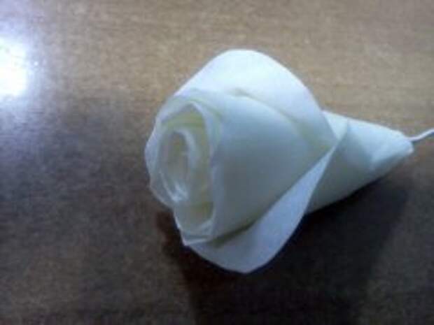rosa_iz_scotcha_07