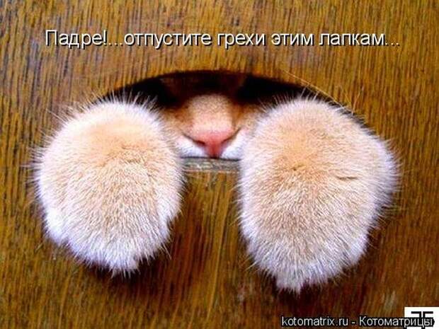 Мысли вслух :)