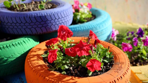 Россиян предупредили о штрафах за "лебедей" из шин во дворах