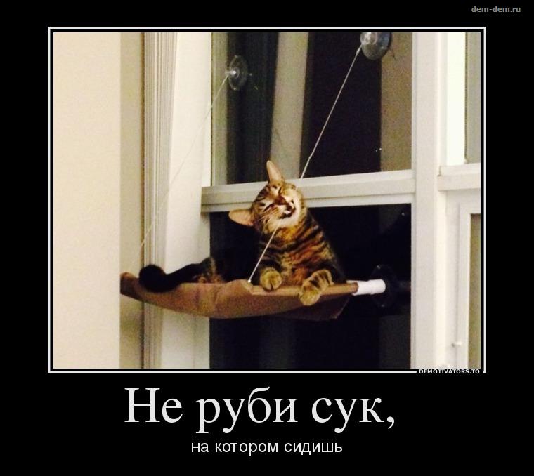 30 демотиваторов дня от 18-02-2014
