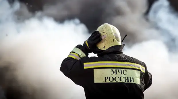 В Минобороны сообщили о локализации пожара на полигоне под Воронежем