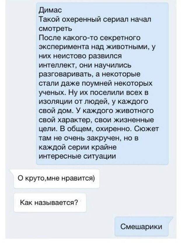 finalom-neozhidannym-perepiski-citaty-vkontakte-vkontakte-smeshnye-statusy