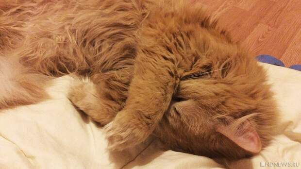 Почти половина оставшихся без отопления домов в Карабаше все еще не подключены