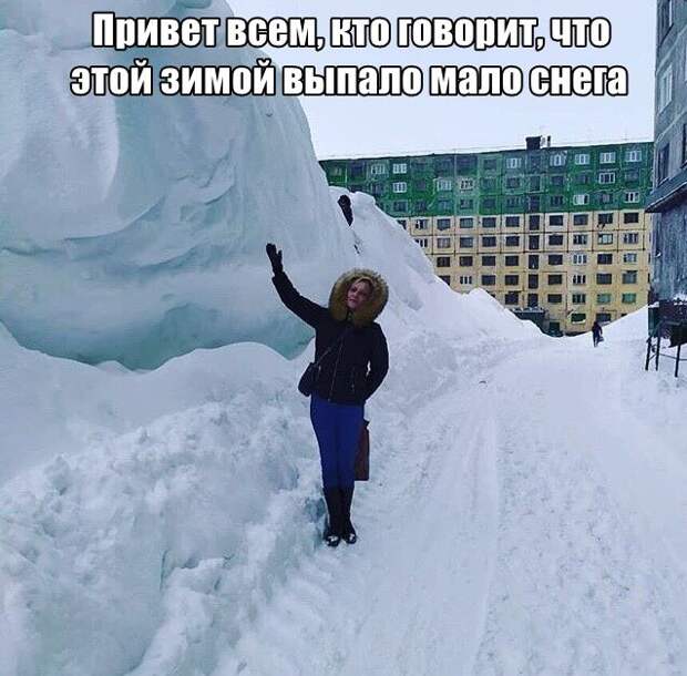 kartinok-prikolnyh-podborka-kartinki-smeshnye-kartinki-fotoprikoly