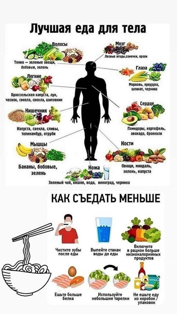 20 полезных  шпаргалок о нашем теле, здоровье, еде и хорошей жизни