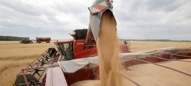 Лавров: При отсутствии изменений Москва будет исходить из того, что зерновая сделка больше не функционирует