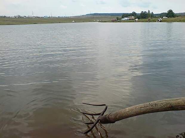 Вилами на воде писано