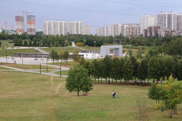 Ландшафтный парк «Митино». Фото: Ярослав Чингаев, «Москва. Северо-Запад»