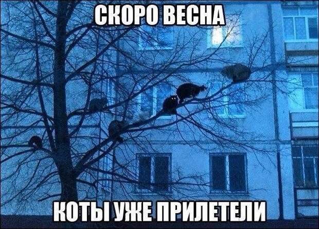 Прикольные картинки с надписями, смешные фото и прочий юмор Прикольные картинки с надписями, смешные фото и прочий юмор прикол, юмор