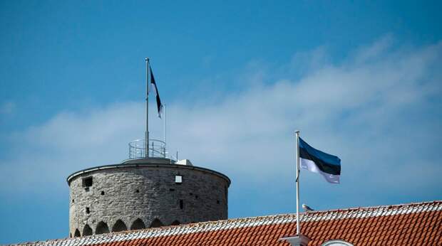 Президент Эстонии раскритиковал главу МИД за враждебную риторику в адрес России