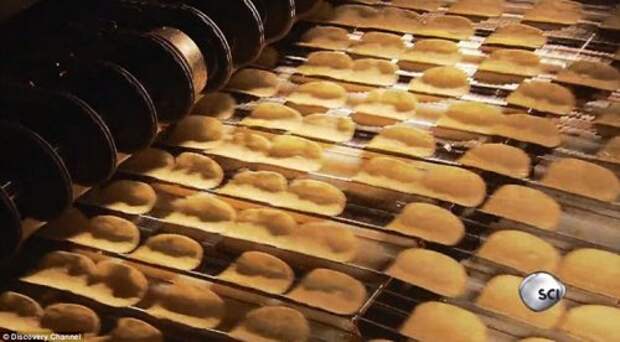 Как это делается: чипсы Pringles (14 фото + видео)