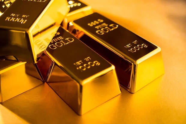 Итальянец выбросил в мусор золотые слитки на 11 млн.руб из-за склероза