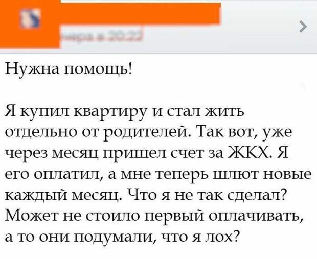 Смешные картинки с надписям весёлое, смешное, смешные картинки, юмор