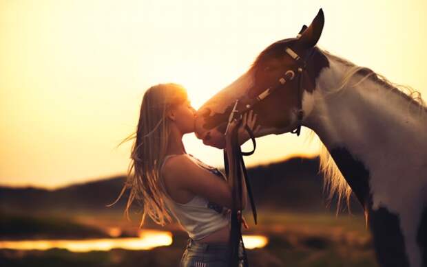 Обои девушка, закат, лошадь, дружба, Horse картинки на рабочий ...