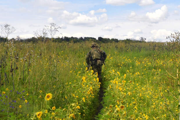 Депутат ГД Бородай: ЛБС становится все более безлюдной из-за БПЛА
