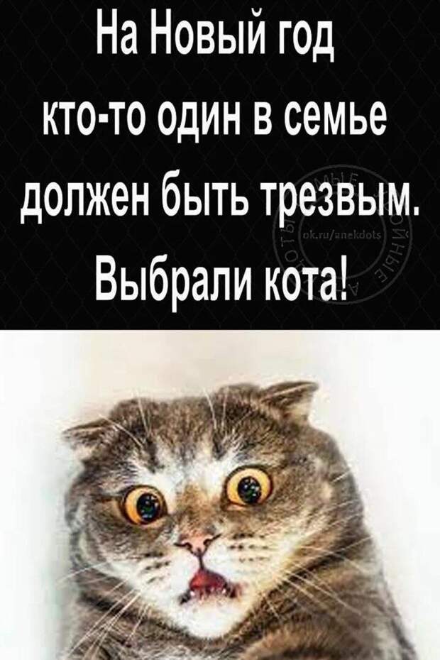 Донецкая группа новостей, Донецк ДНР