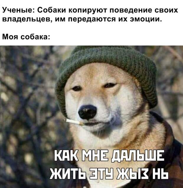 Подборка картинок. Дневной выпуск (20 фото)