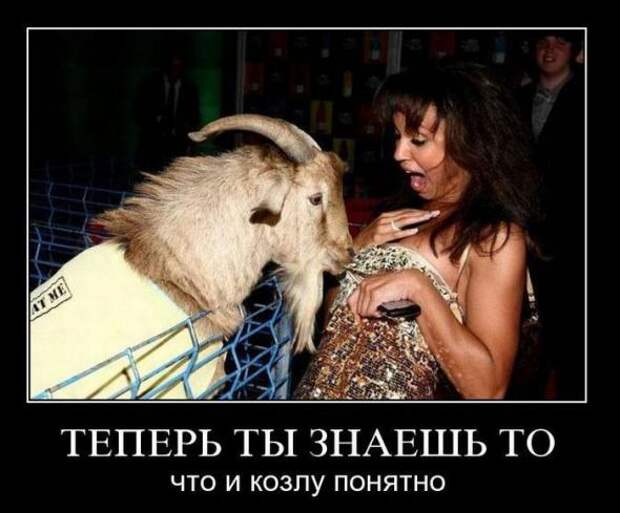 Подборка классных демотиваторов № 91