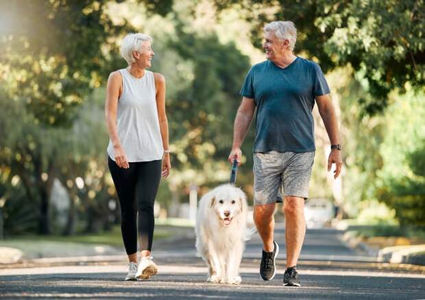 Two people walking a dog.