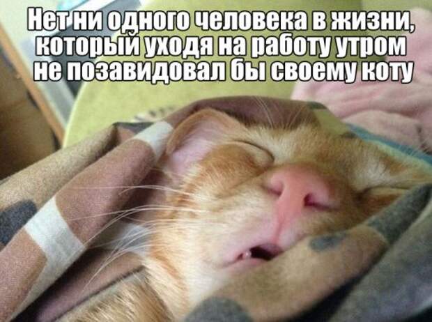 Прикольные картинки скрасят понедельник! (27 шт)