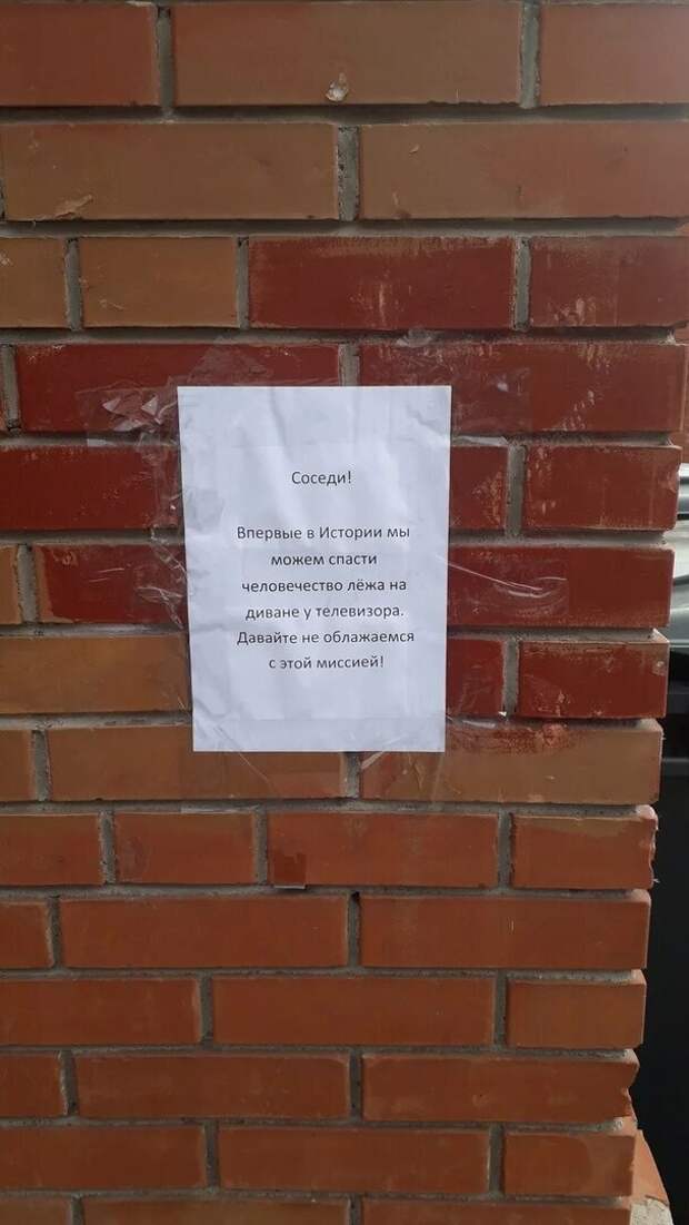 Объявления: ни дня без прикола