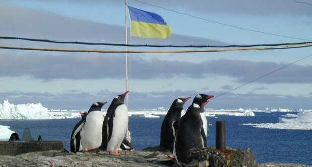 Украина готовит новые проекты по экспедициям в Антарктиду