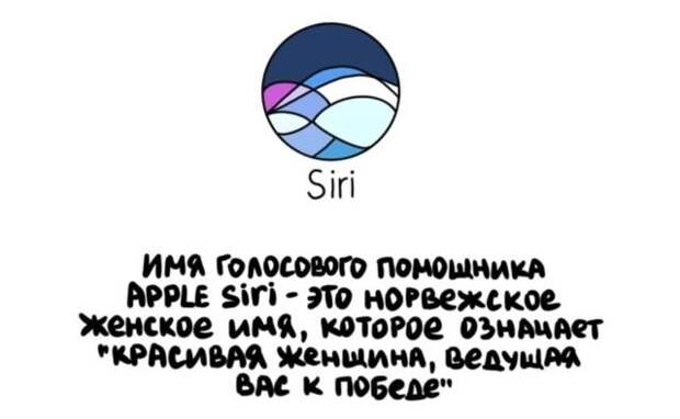 Короткие интересные факты обо всем