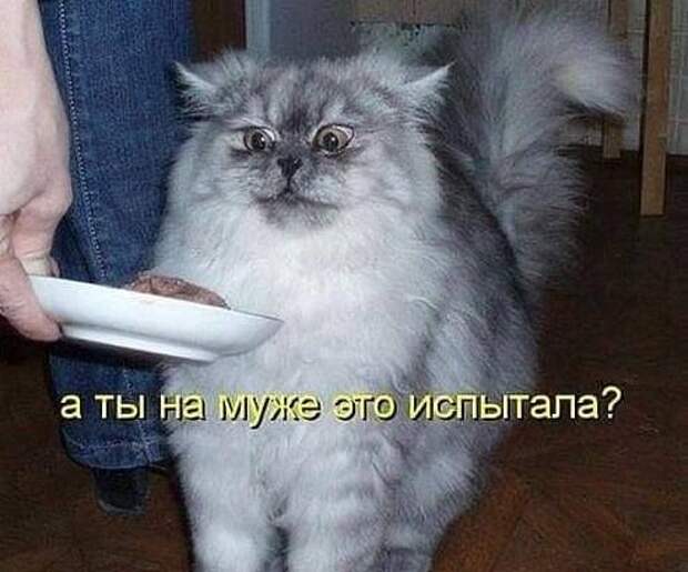 Клевые картинки с надписями (пятница)