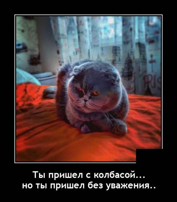 Демотиваторы 23 апреля 2021