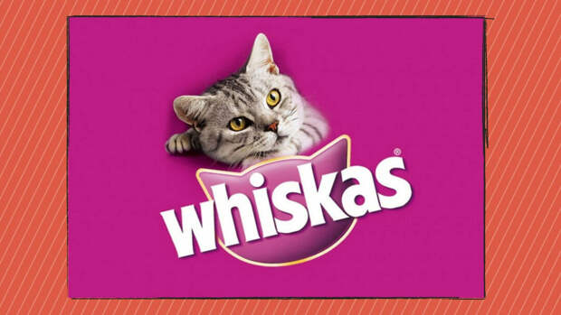 Все слышали название бренда кошачьего корма Whiskas. А знаете, почему он так называется?