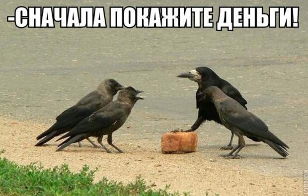 kommentarii-iz-socialnyh-setej-20