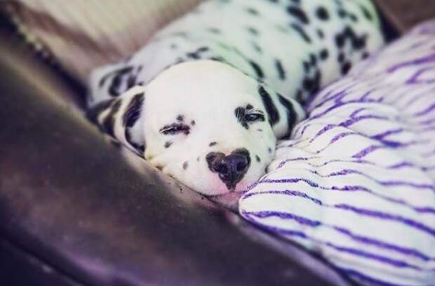 Источник: Instagram / hi.wiley